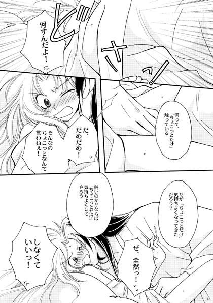 繋臂之寵 [ジュラルミンアタッカーズ] | DLsite がるまに