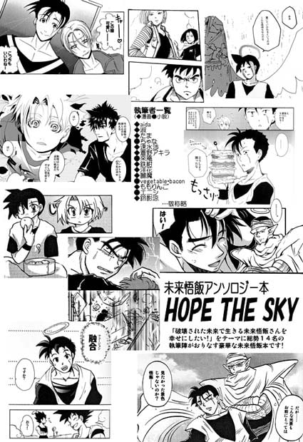 HOPE THE SKY [No-Next] | DLsite がるまに