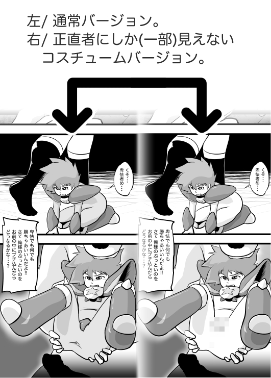 STARPHOENIX ＆ STARGRYPHON THE STARHEROES [カルパタルー] | DLsite がるまに