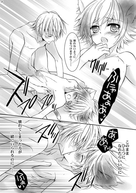 君と生きた季節、僕と僕らの明日 [La・Pis] | DLsite がるまに