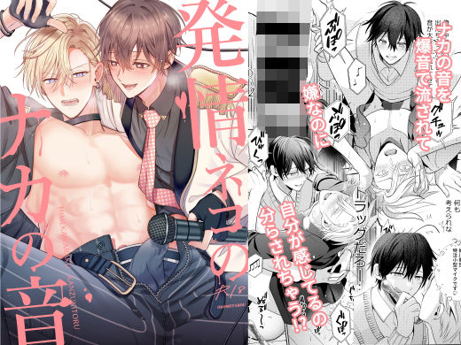 発情ネコのナカの音(米式’) - FANZA同人