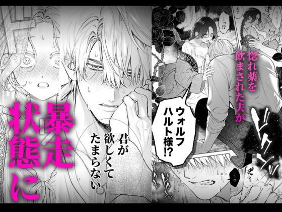 惚れ薬で豹変した最強騎士の暴走が止まりません! [春に稲妻] | DLsite がるまに