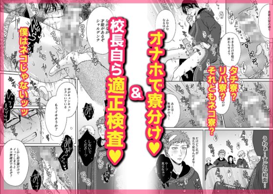 パコリング魔法学校 [スタジオポンチ] | DLsite がるまに