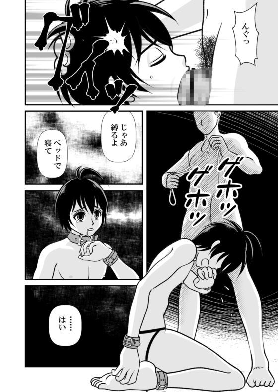 アイの宙色 2 [鮫枕] | DLsite がるまに