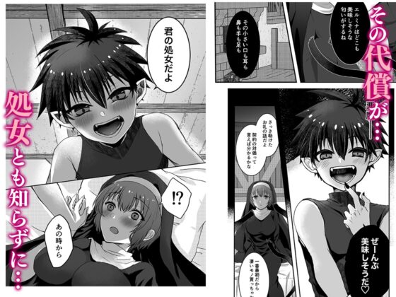 無垢なる聖女は闇に堕ちる [shin] | DLsite がるまに