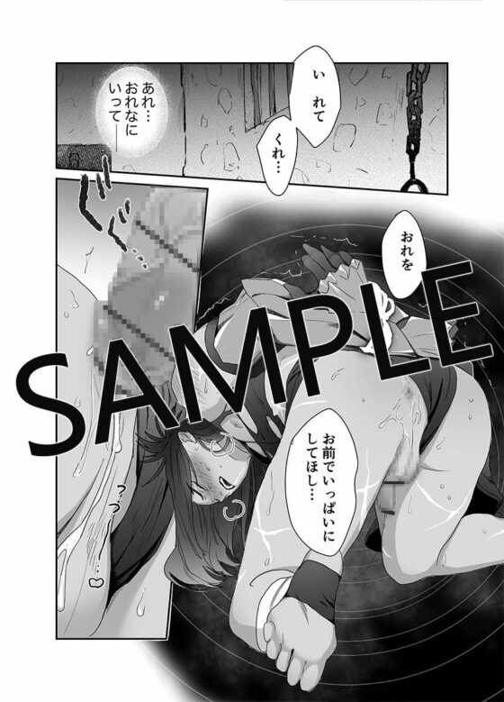 第二皇子 奴隷堕ち [パコズ] | DLsite がるまに