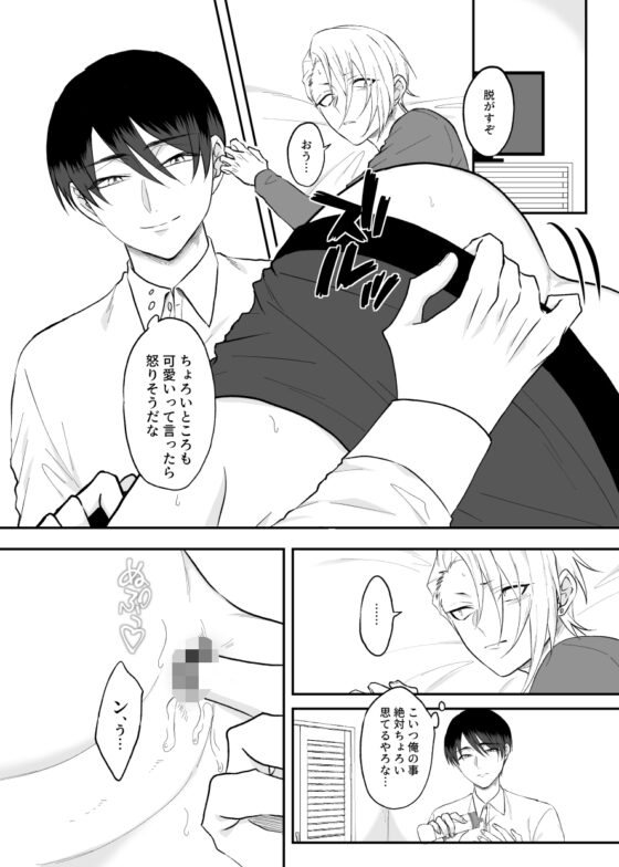 とある不良と生徒会長のメスイキ計画 [360度回転] | DLsite がるまに