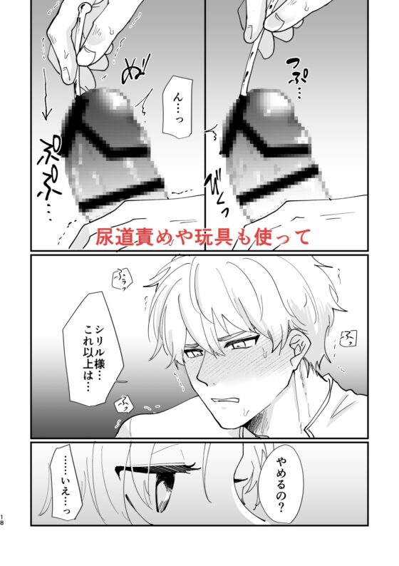 騎士団長の懲罰 [ですよね] | DLsite がるまに