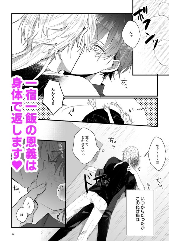 拾った猫が化け猫だった [イチA] | DLsite がるまに