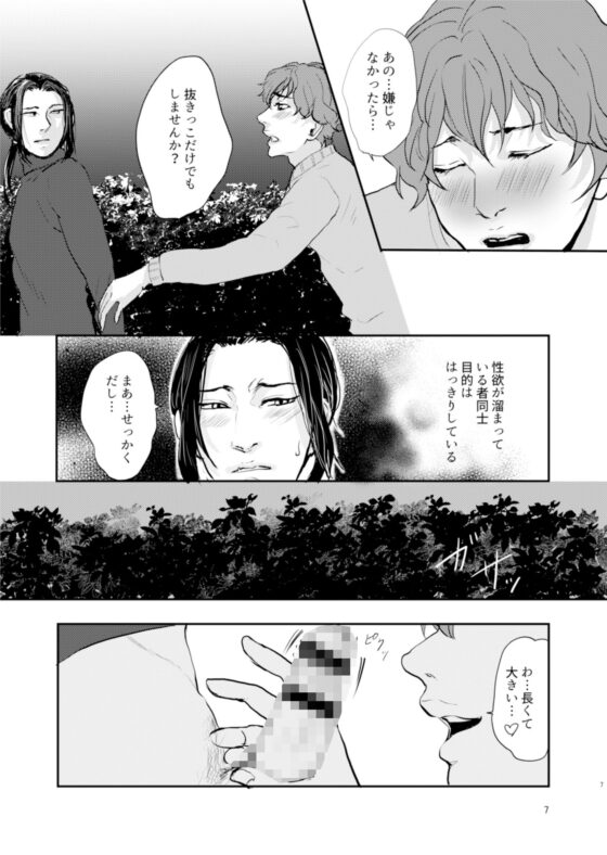 Secret Sign-Park-（公園編）(愚の骨頂) - FANZA同人