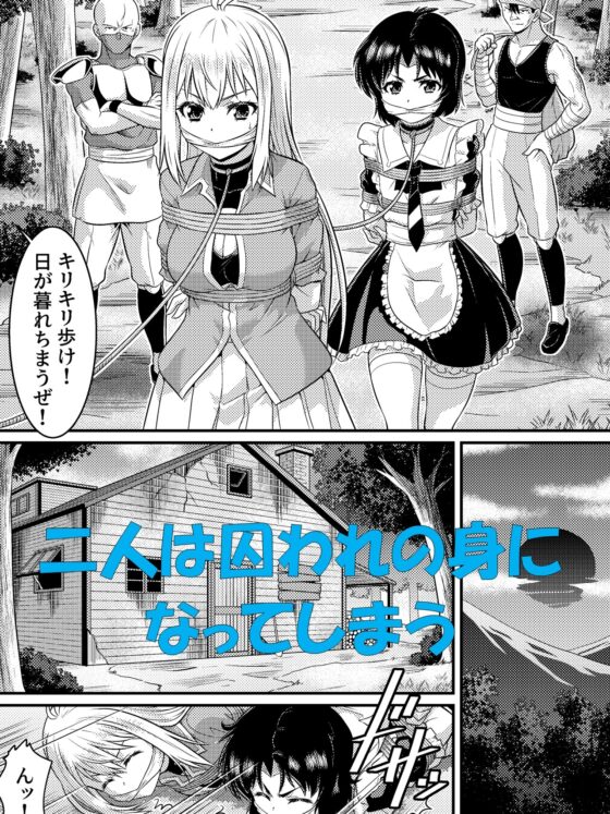 TS騎士と女装メイドの大冒険 第1話 [夢かき屋] | DLsite 同人