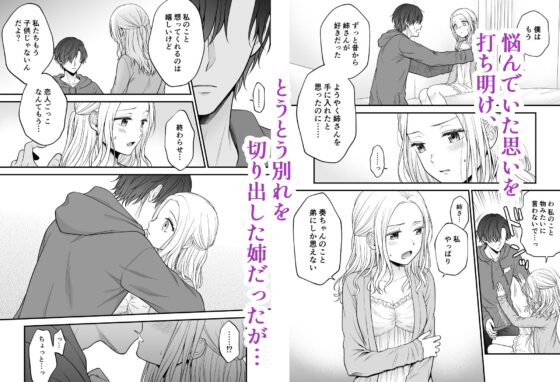 それでも僕は姉さんを愛してる [獄楽生活] | DLsite がるまに