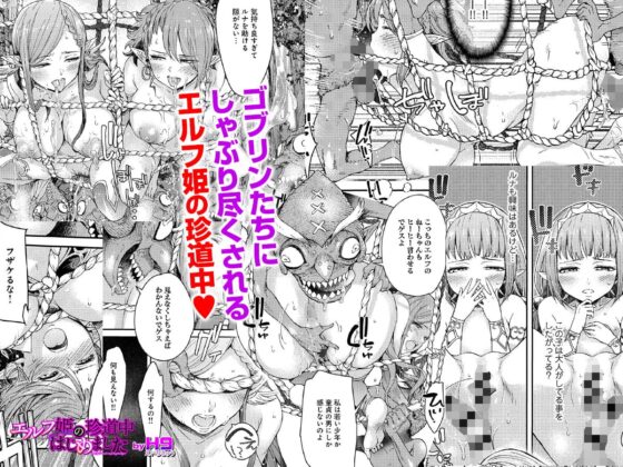 エルフ姫の珍道中はじめました [U3DASH編集部] | DLsite 同人 - R18