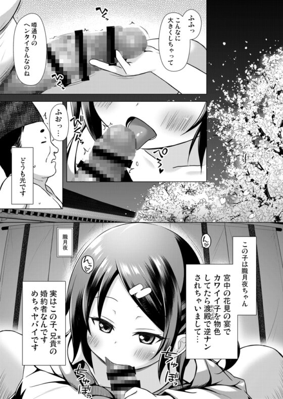 光の君のさがなき計画〈総集編〉 [ノラネコノタマ] | DLsite 同人 - R18