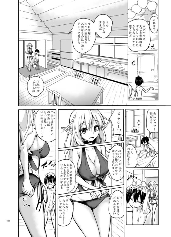 とあるエルフを引き取りまして 総集編 [SlapStickStrike] | DLsite 同人 - R18