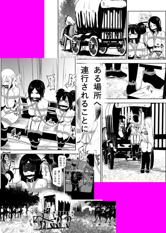 ヴァンパレイド4 ～吸血鬼 三姉妹 捕縛編～ [トンテン] | DLsite 同人 - R18