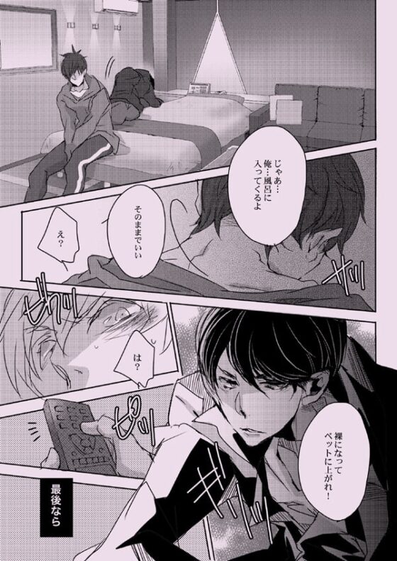幸せ恋人な計画 [アルチスト] | DLsite がるまに