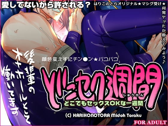 どこセク週間～どこでもセックスOKな一週間～ [はりこのとら紙老虎] | DLsite がるまに