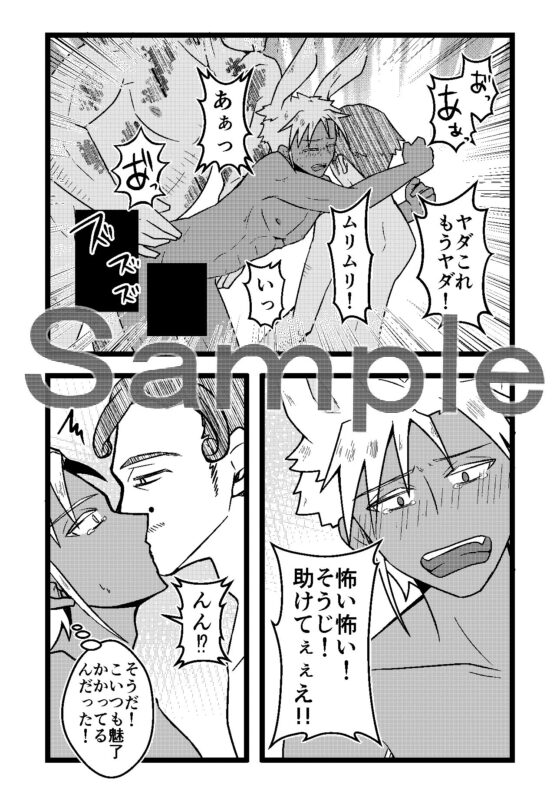 うさみみぼっちゃん ～魅了魔法で仲間を救え!?の巻～ [まめまるめ] | DLsite がるまに