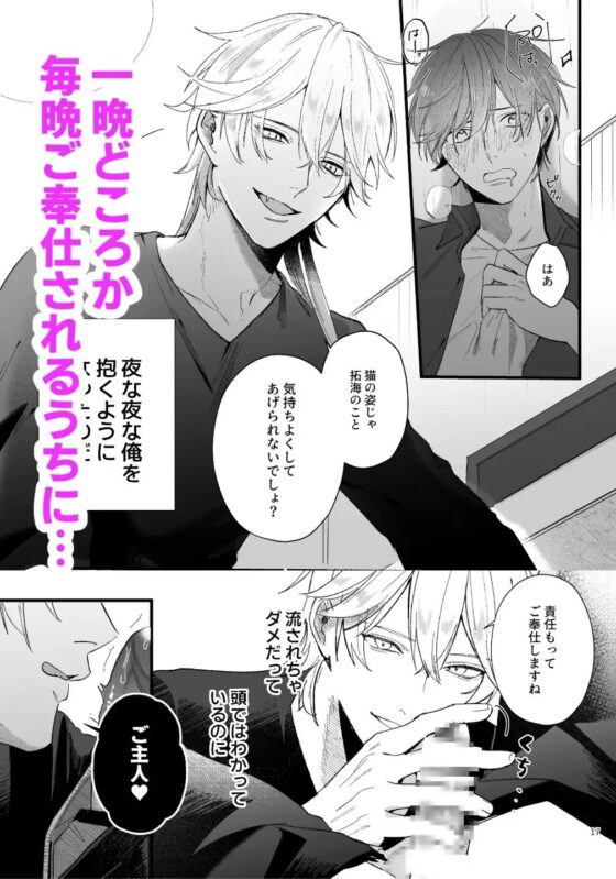 拾った猫が化け猫だった [イチA] | DLsite がるまに