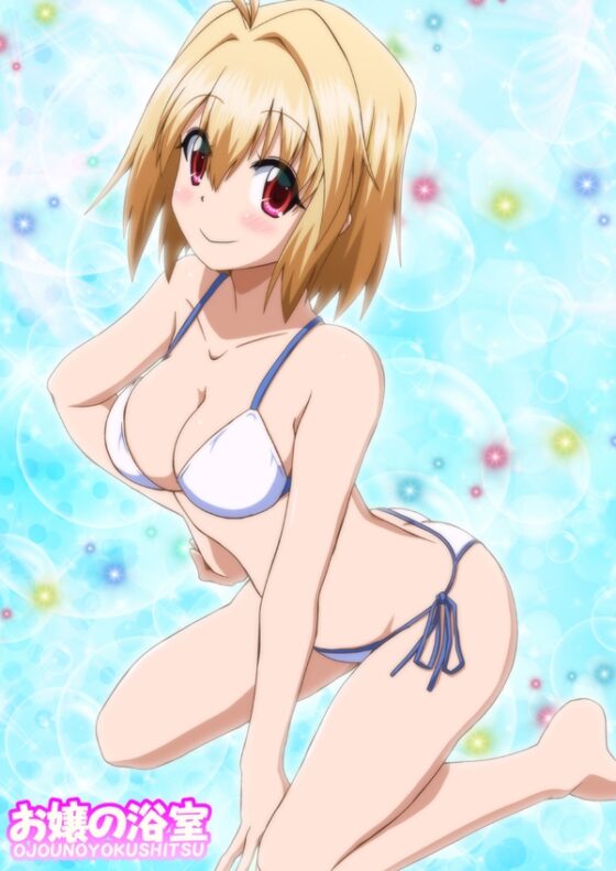 突〇姫リメイク [お嬢の浴室] | DLsite 同人