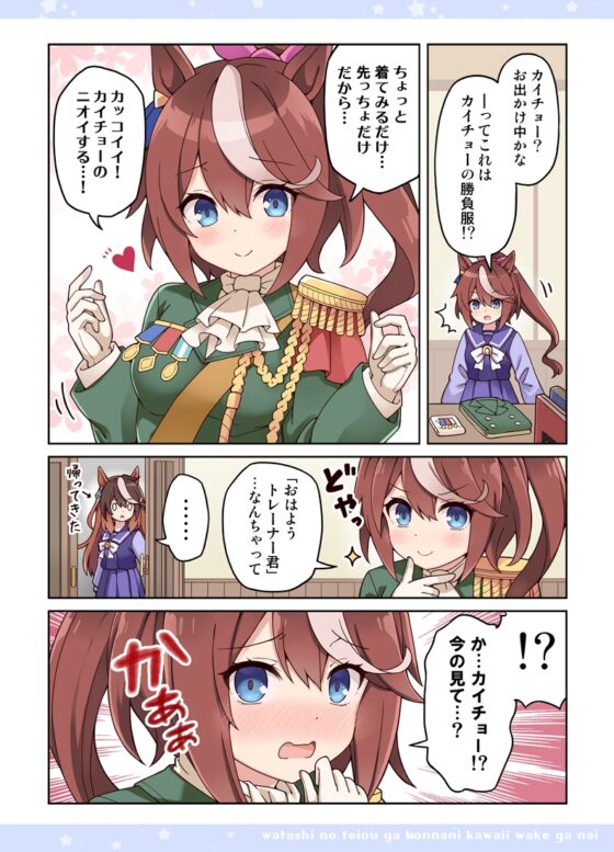 私のテイオーがこんなに可愛いわけがない! [RRR] | DLsite 同人