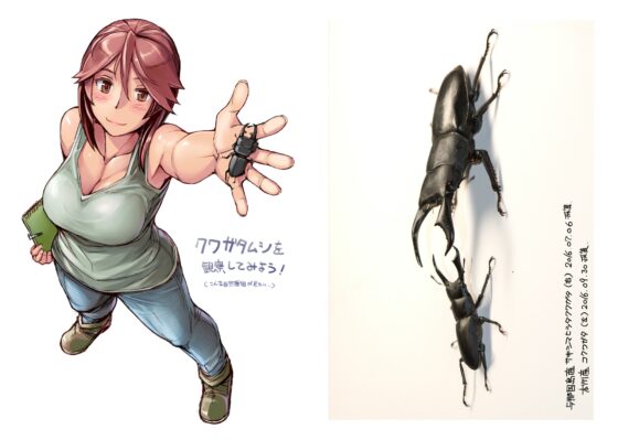 むしまんが 2014～2017 [荒野の愛] | DLsite 同人