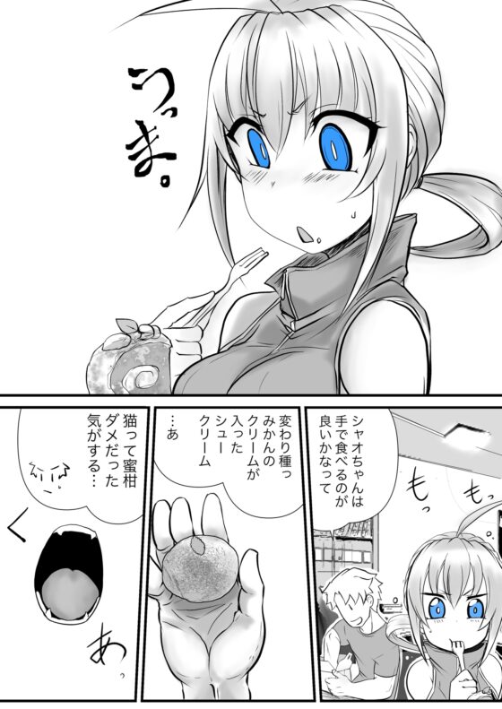 双子の死神に恋する話-Elegos3 [九十九月夜] | DLsite 同人