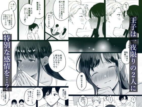 第一王子のバレてはいけない初体験 [冷凍くん] | DLsite がるまに