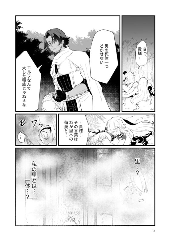 爪弾き者のソムニア1 [ナユタの運ぶ音] | DLsite がるまに