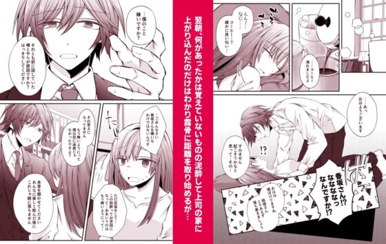 二次元配信者を推していたら裏表激しい執着年下上司にバレました～推しがストーカーかつオフ××狙いとは聞いてません～ [はとペア] | DLsite がるまに