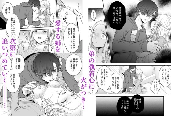 それでも僕は姉さんを愛してる [獄楽生活] | DLsite がるまに