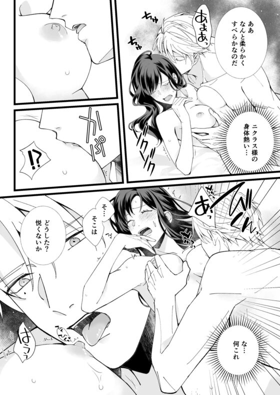 救国の英雄は烏の魔女を冀う [YellowPost] | DLsite がるまに