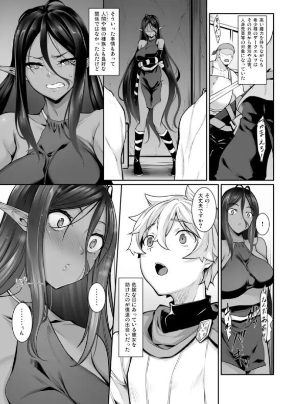 ちょっとだけ愛が重いダークエルフが異世界から追いかけてきた [In The Sky] | DLsite 同人 - R18