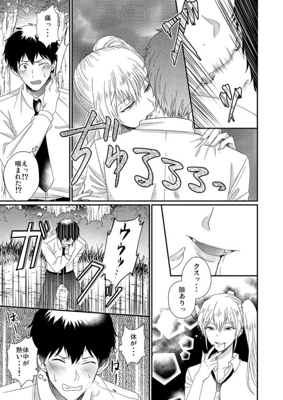 男嫌いのサキュバスさん [Marialite] | DLsite 同人 - R18