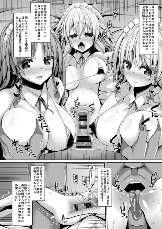 紅魔館メイドハーレム性活 [Right away] | DLsite 同人 - R18