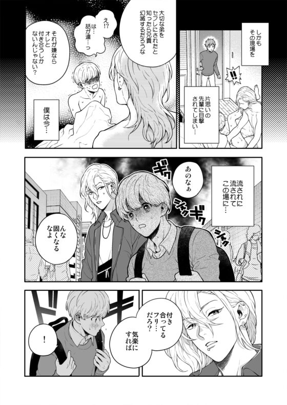 好きで好きでしょうがないみたい。～好きな人に告白したらその弟と付き合うことになりました～編 [エデンの林檎/中条亮] | DLsite がるまに