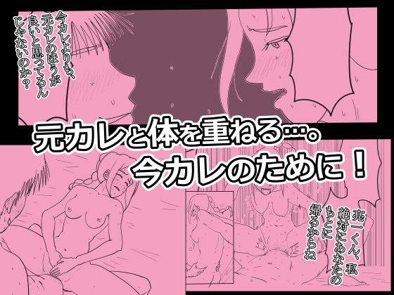 菜穂子の冴えない元カレです(オーロラ・ブレインバレー) - FANZA同人