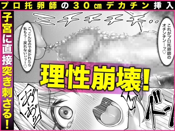 妊娠懇願寝取られ托卵妻～30cm巨根托卵師に孕まされた変態人妻ミカ～ [アトリエTODO] | DLsite 同人 - R18
