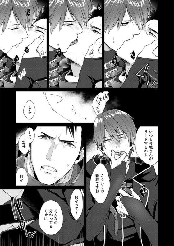 AFTER RECORD [Gehlenite] | DLsite がるまに