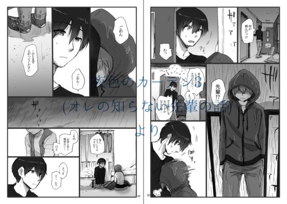夜色のカーテン2+3 [el calm] | DLsite がるまに