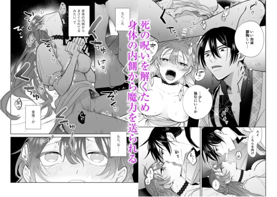 異世界転生した悪役令嬢は偏愛魔導士に堕とされる [うにトロカーニバル] | DLsite がるまに