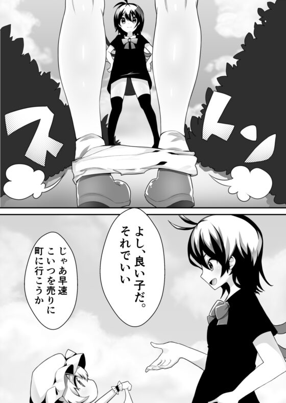 みっしょんぷちきゃっと [ナトリニウム] | DLsite 同人