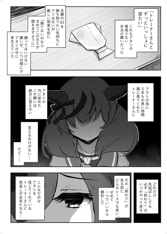 アイネクライネ [雨洩り宿] | DLsite 同人