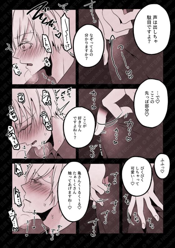 今日も純情な弟はこの身を聖女に捧げる [一宙二星] | DLsite がるまに