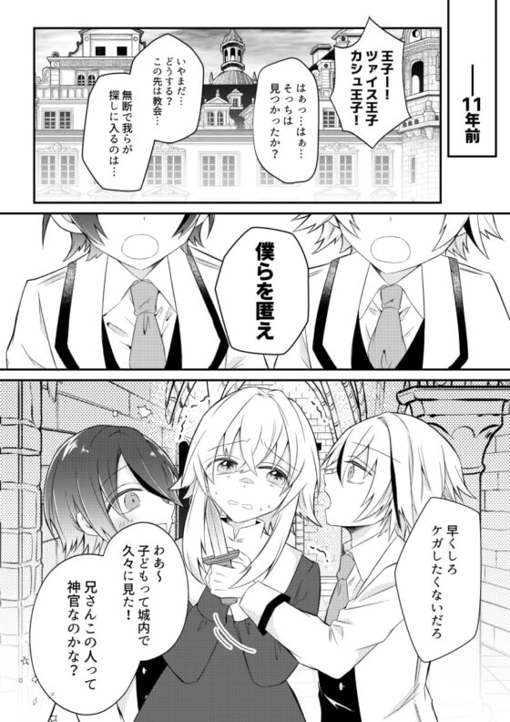 溺愛系ヤンデレ兄弟王子は愛しの神官を魔族堕ちさせたい [はとペア] | DLsite がるまに