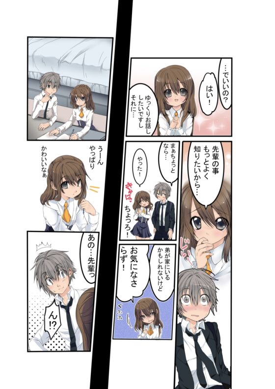 2人のかくしごと [ぶたみんち] | DLsite がるまに