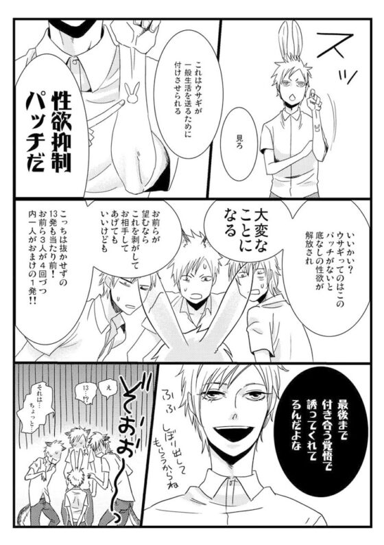 ケモミミSelection [からたち] | DLsite がるまに
