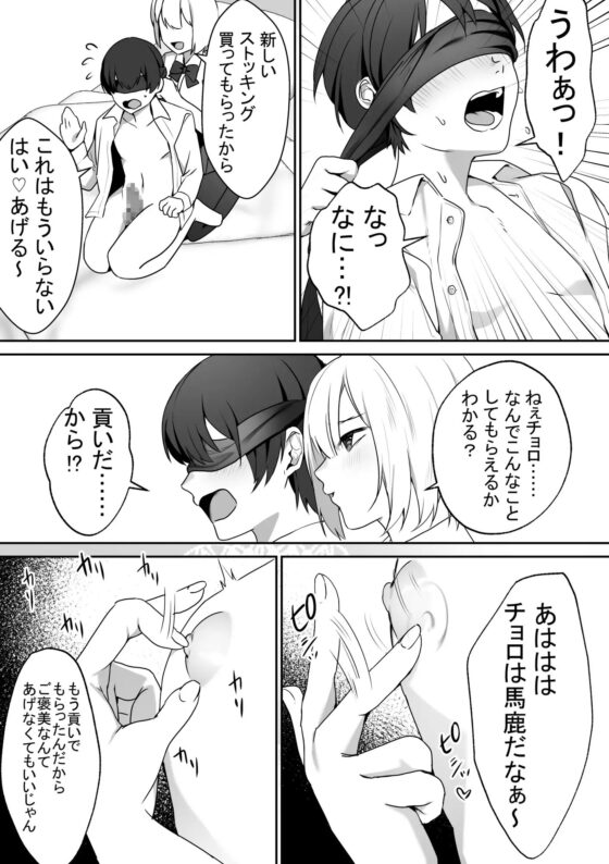 女子達の悪だくみ2 [ブリッツクリーク] | DLsite 同人 - R18