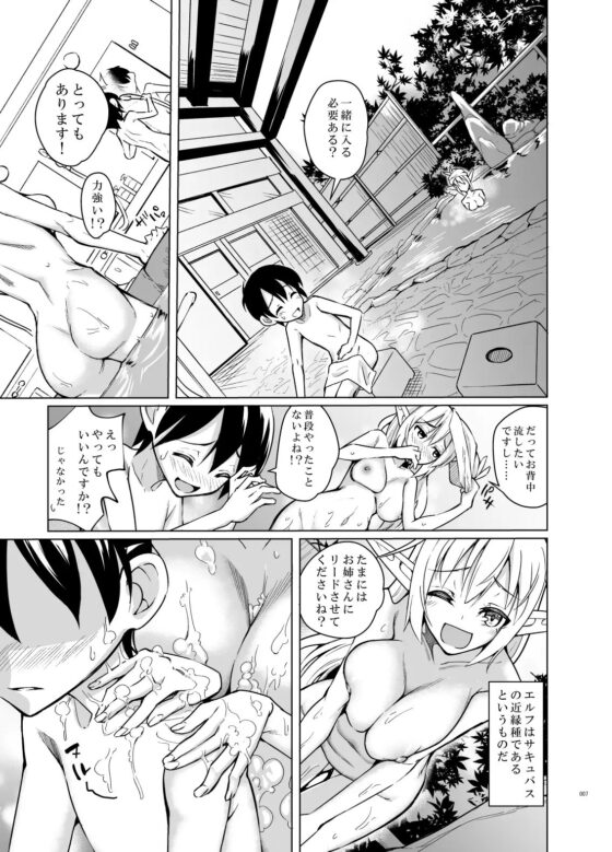 とあるエルフを引き取りまして 秋の宿の日 [SlapStickStrike] | DLsite 同人 - R18